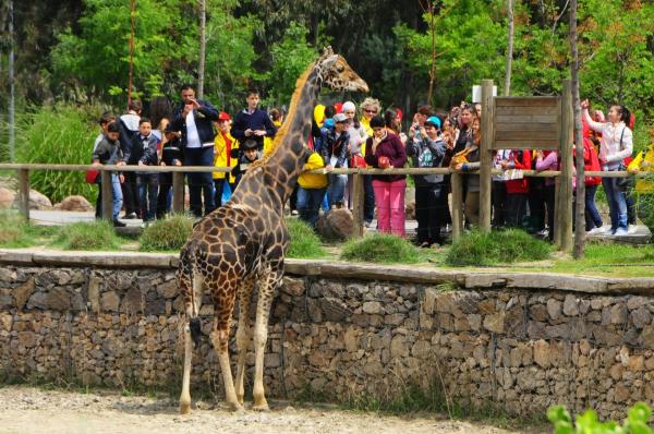 IZMIR WILD PARK TRIP