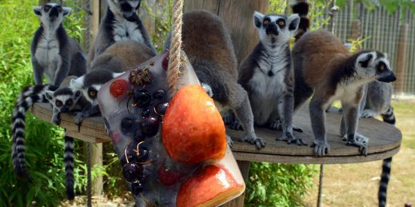 IZMIR WILD PARK TRIP