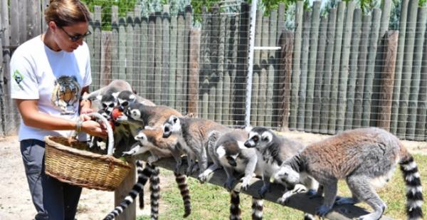 IZMIR WILD PARK TRIP