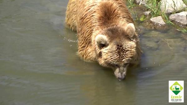 IZMIR WILD PARK TRIP