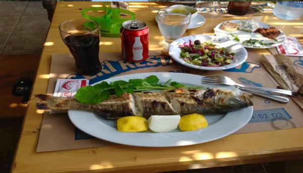 MİLET VE BAFA GÖLÜ