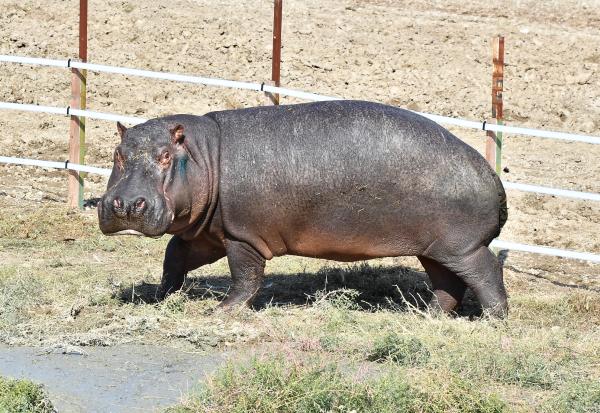 IZMIR WILD PARK TRIP