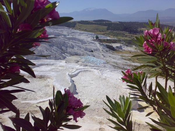 EPHESUS PAMUKKALE OVERNIGHT TOUR