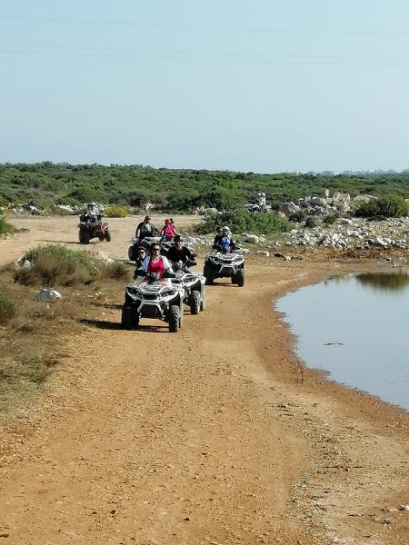 Quad Safari