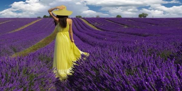 Lake Salda-Lavender Fiels- Pamukkale Red spring Water  Overnight Tour