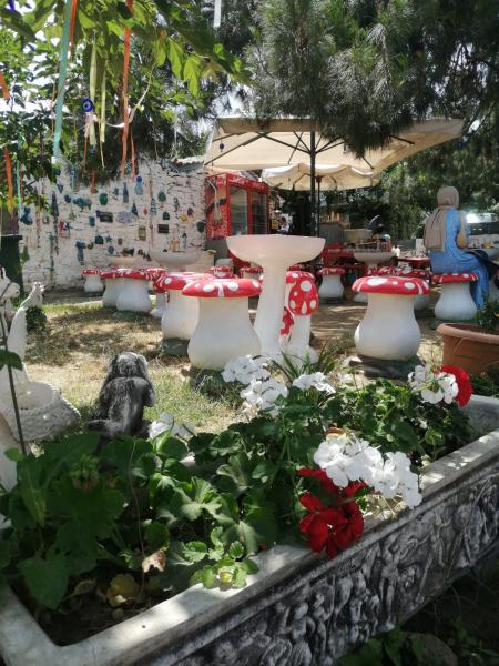 ŞİRİNCE & KUŞADASI