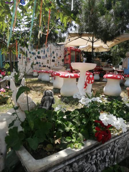 ŞİRİNCE & KUŞADASI