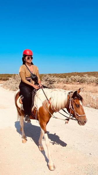 Horse Safari