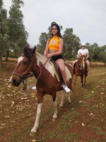 Horse Safari