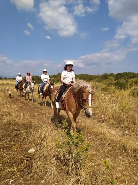 Horse Safari