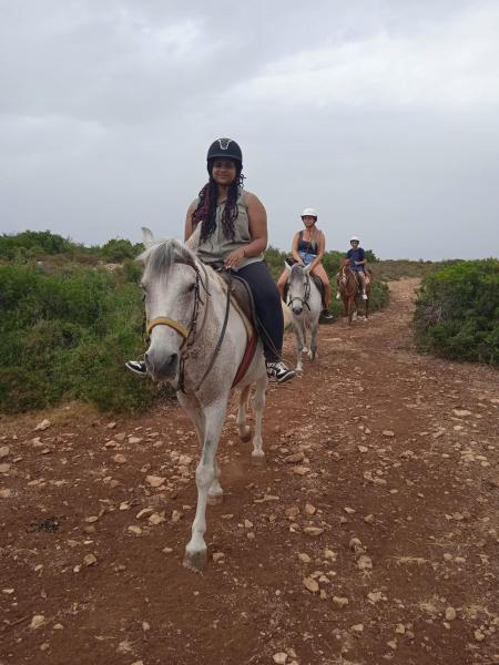 Horse Safari