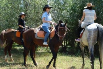 Horse Safari
