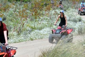 Quad Safari (atv safari)