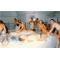 TURKISH BATH IN ALTINKUM