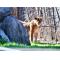 IZMIR WILD PARK TRIP