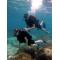 DIVING