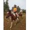 Horse Safari